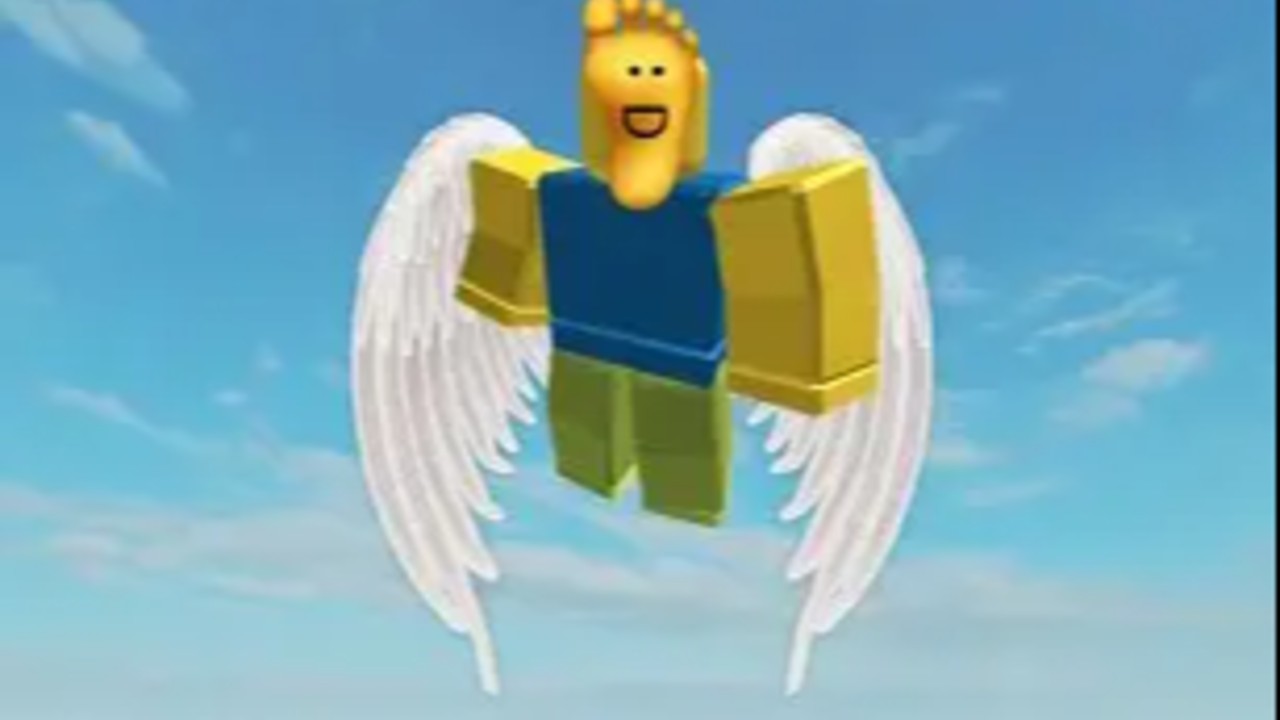 Fly