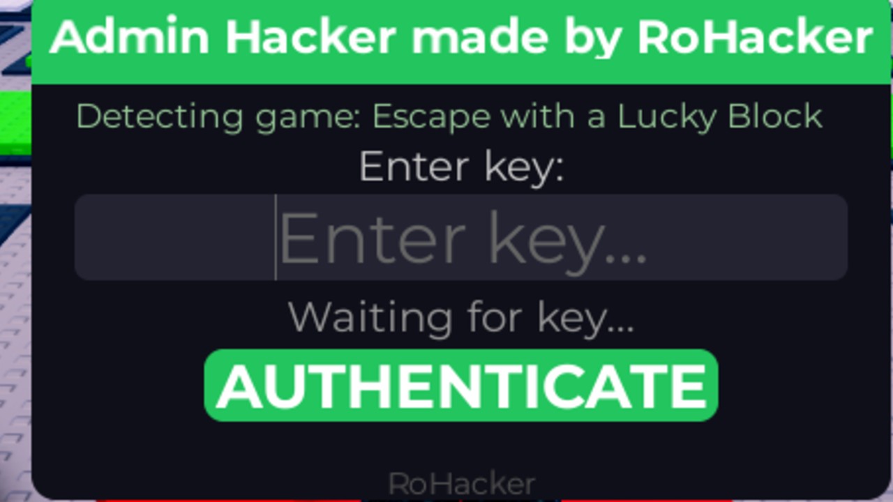 Admin hacker VIP ( discord )