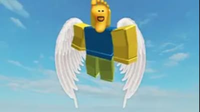 Fly