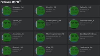 Roblox Follower Bot, Get free Followers