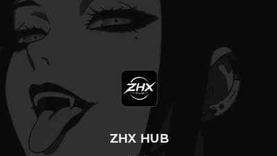 ZHX hub
