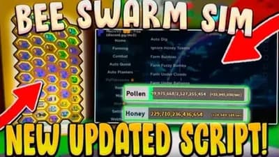Macroware Script - BSS