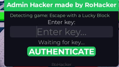 Admin hacker VIP ( discord )