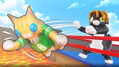 CAT BATTLES