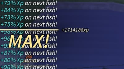 Dupe EXP