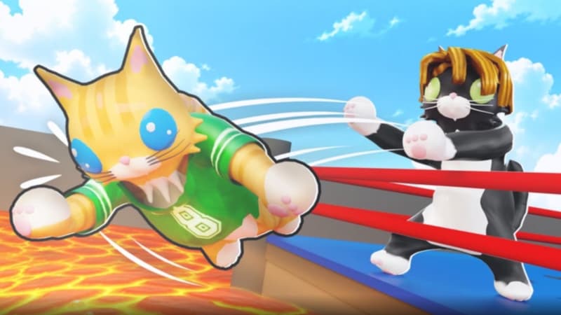 CAT BATTLES